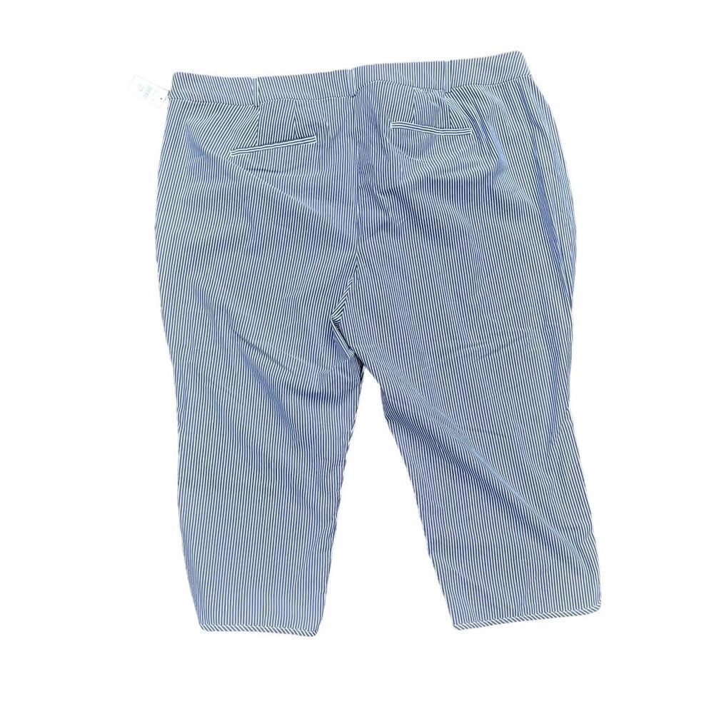 NWT LANE BRYANT Grey & White Stripped Pants W/ Elastic Waistline Size 26 - Picture 2 of 7